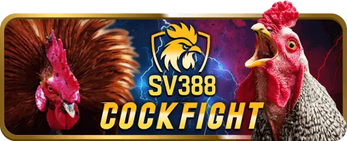 Chương trình hoàn trả hàng ngày sinbet login